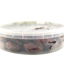 Al Shira Khudary Dates - Plastic (12x900G)